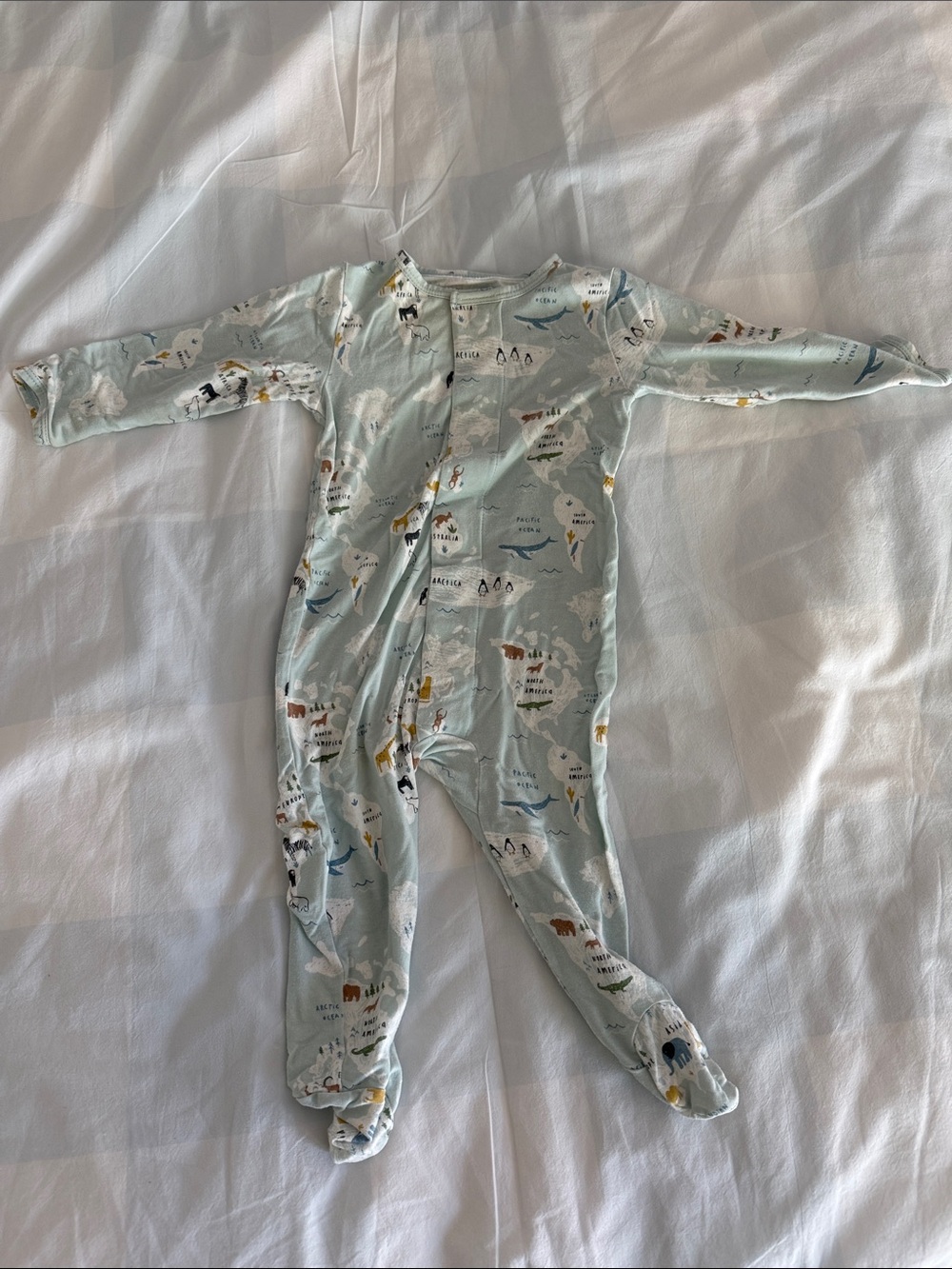 Light Blue Arctic Animal Print Footed One-Piece Pajamas